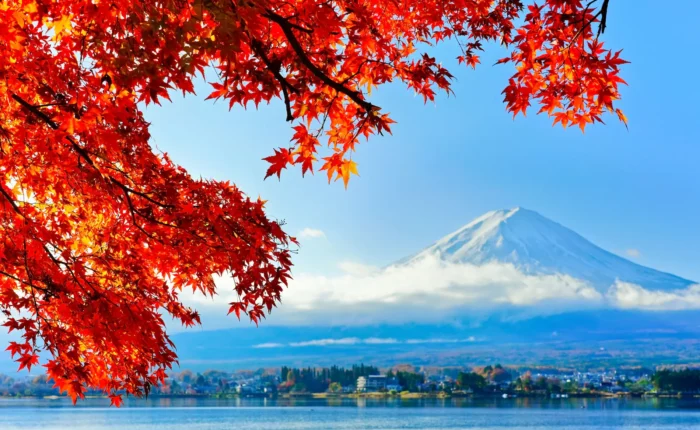 Fuji Autumn